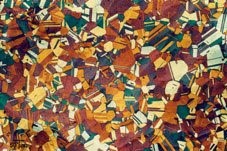 ریز ساختار سانیکرو